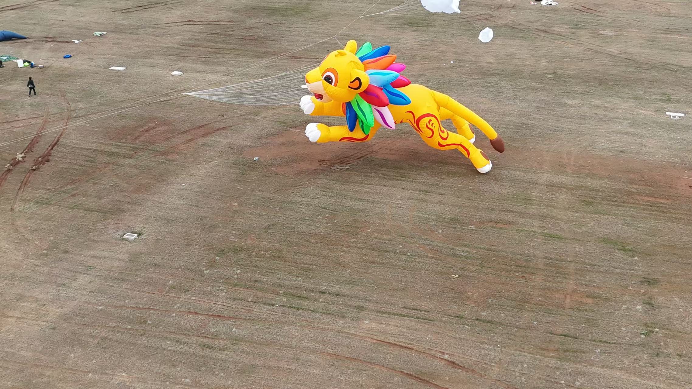 黄冈市品牌风筝定制软体风筝定制 - 排名